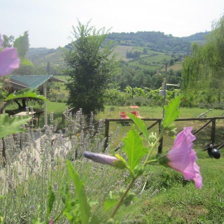 Le Spighe Agriturismo Cesena Kültér fotó