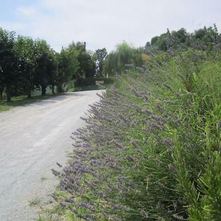 Le Spighe Agriturismo Cesena Kültér fotó