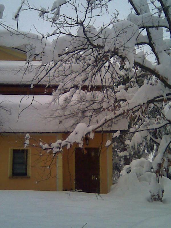 Le Spighe Agriturismo Cesena Kültér fotó