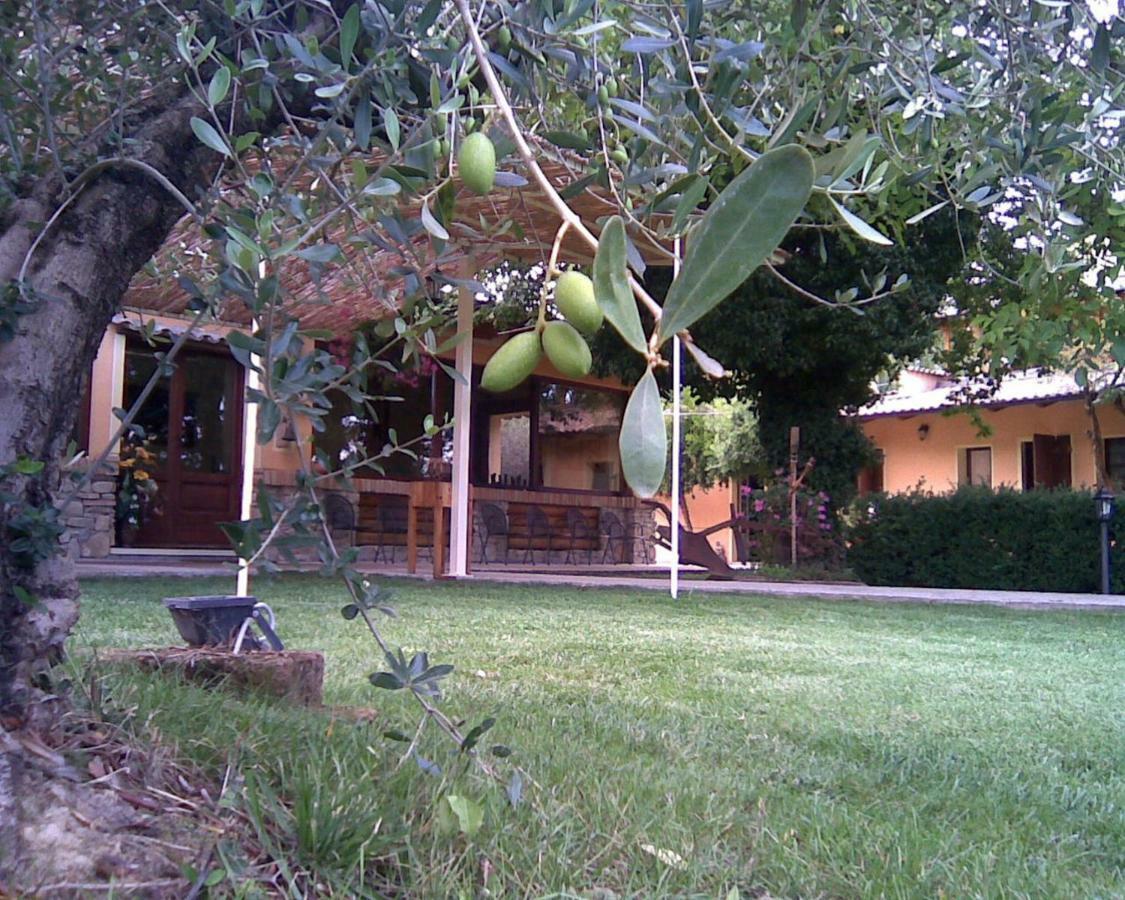 Le Spighe Agriturismo Cesena Kültér fotó