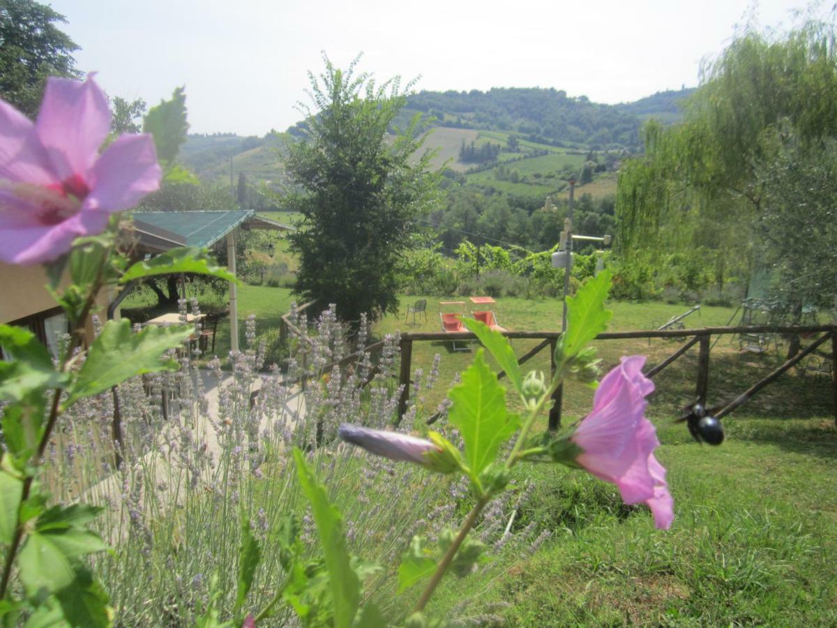Le Spighe Agriturismo Cesena Kültér fotó