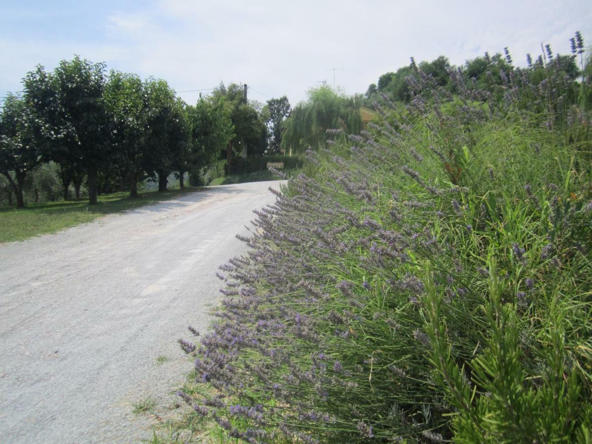 Le Spighe Agriturismo Cesena Kültér fotó
