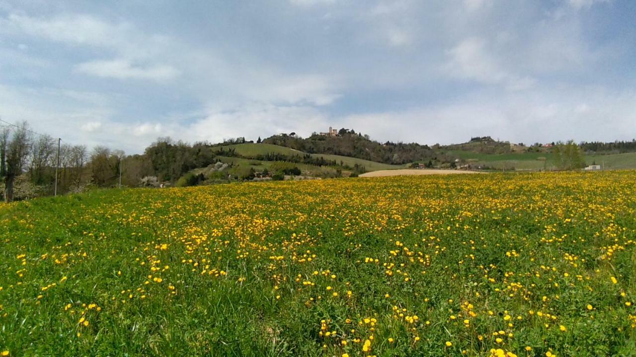 Le Spighe Agriturismo Cesena Kültér fotó