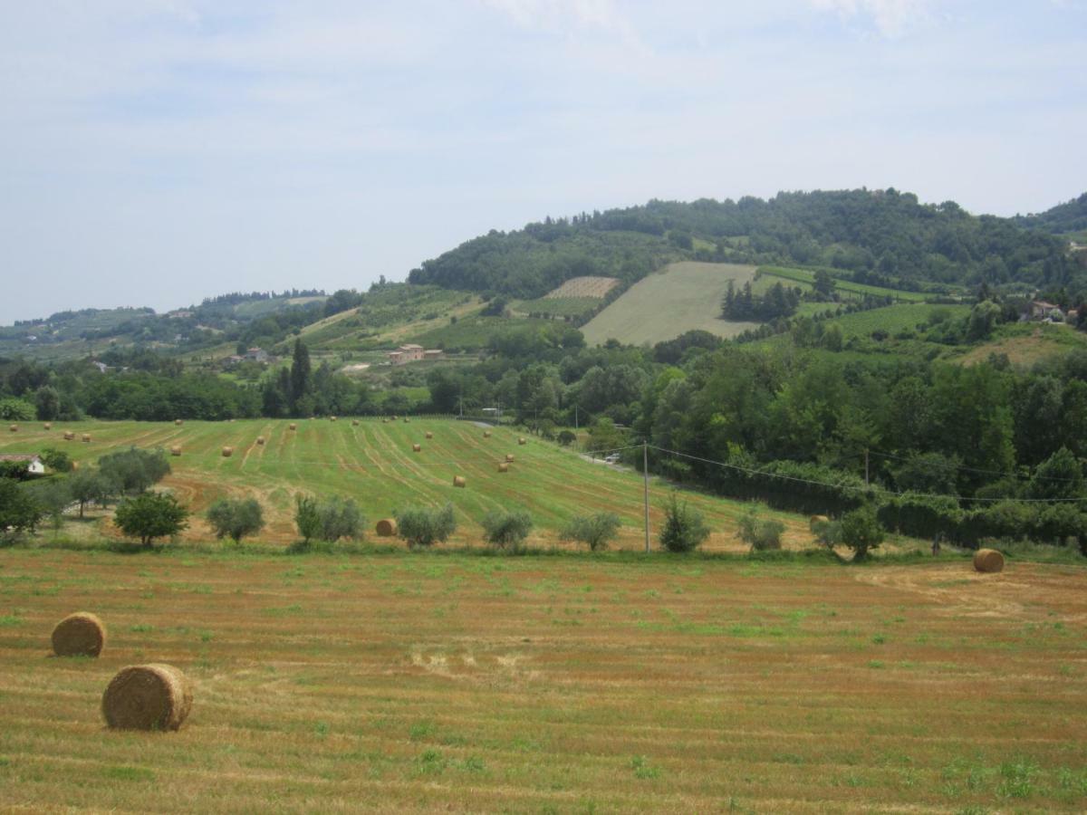 Le Spighe Agriturismo Cesena Kültér fotó