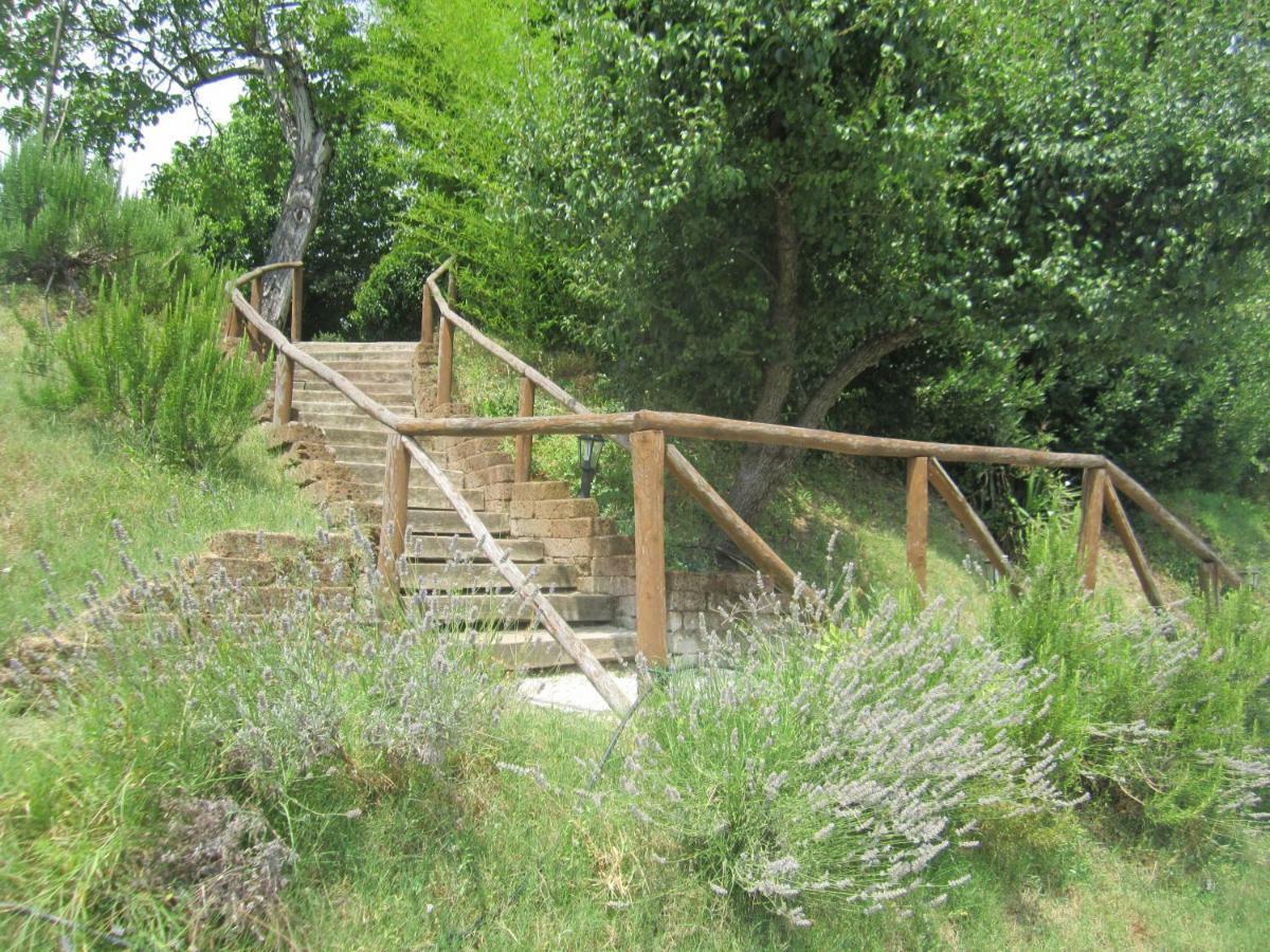 Le Spighe Agriturismo Cesena Kültér fotó